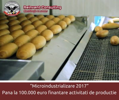 Program Microindustrializare 2017 Reinvent Consulting