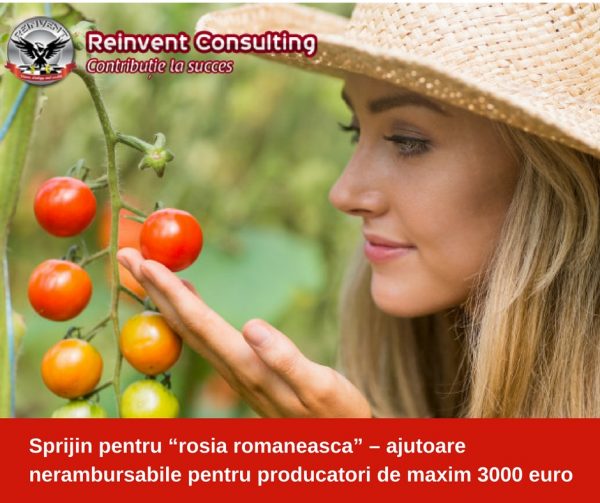 Sprijin pentru “rosia romaneasca” – ajutoare nerambursabile pentru producatori de maxim 3000 euro Reinvent Consulting