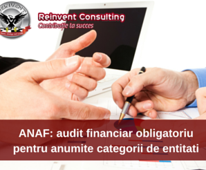 Audit finbanciar-Reinvent Consulting