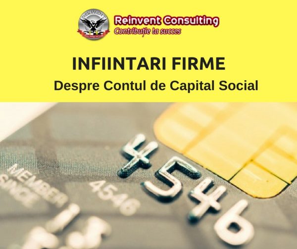 cont de capital social Reinvent Consulting