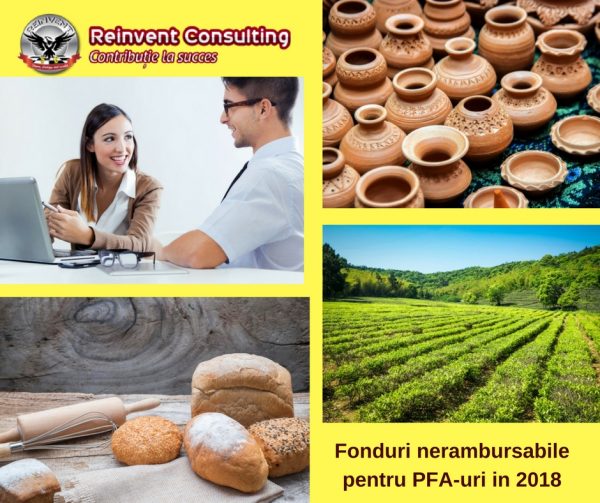 Fonduri nerambursabile pentru PFA-uri in 2018