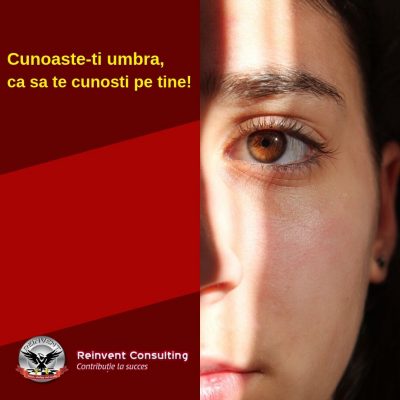 Cunoaste ti umbra Reinvent Consulting