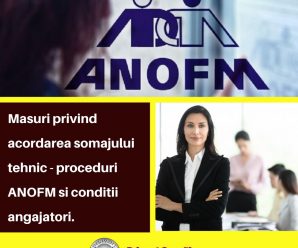 Masuri privind acordarea somajului tehnic - proceduri ANOFM si conditii Reinvent Consulting