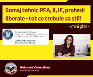 Somaj tehnic PFA, II, IF, profesii liberale Reinvent Consulting